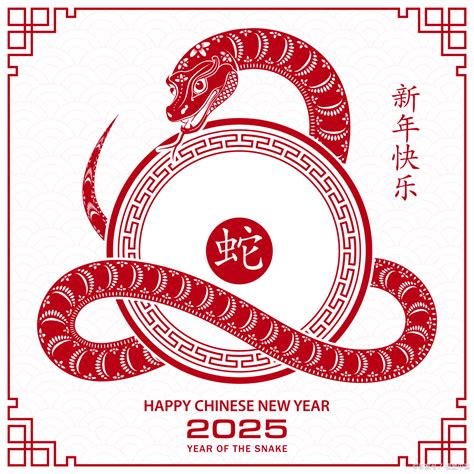 2025是什么生肖|2025年出生的属什么,2025年是什么生肖